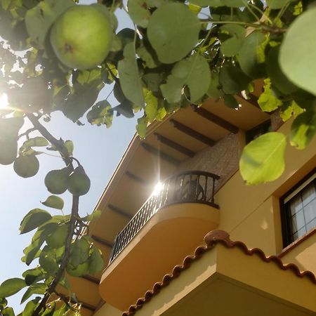 Posada Las Garzas Santona Ngoại thất bức ảnh