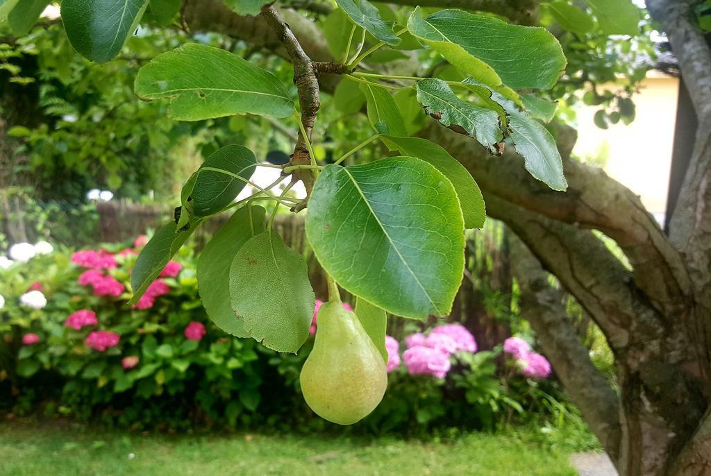 Posada Las Garzas Santona Ngoại thất bức ảnh